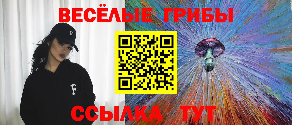 Псилоцибиновые грибы прущие грибы Тутаев