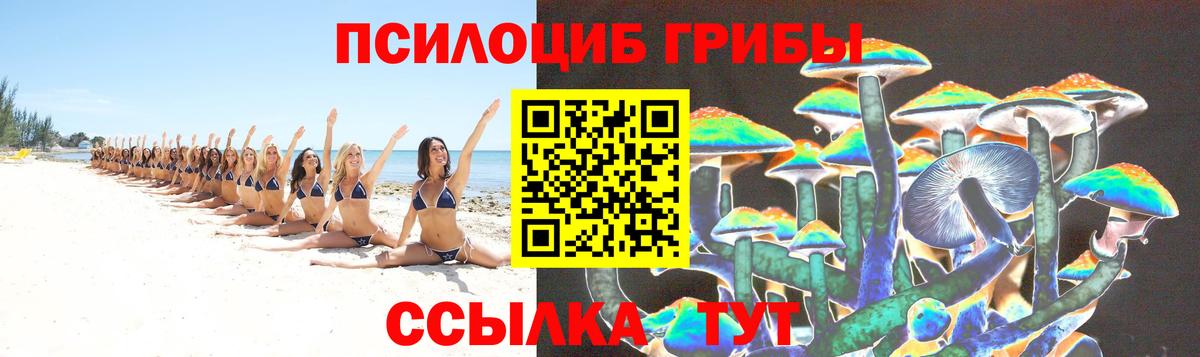 Тутаев  Галлюциногенные грибы Magic Shrooms  Вход с VPN 